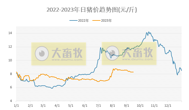 2023.09.16今日猪价