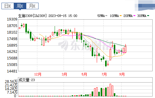 2023.09.17今日猪价