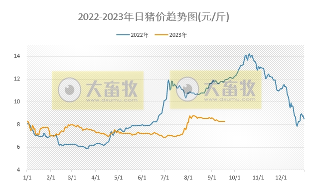 2023.09.18今日猪价