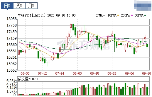 2023.09.19今日猪价