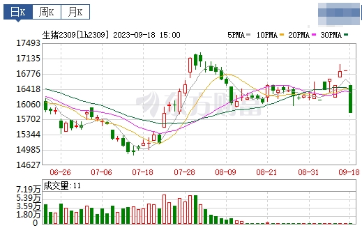 2023.09.19今日猪价