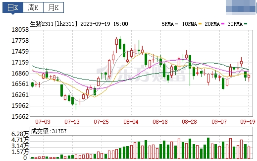2023.09.20今日猪价
