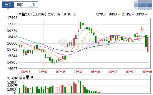 2023.09.20今日猪价