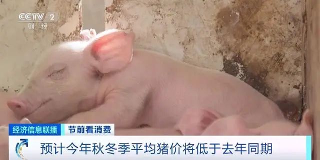 8月末全国能繁母猪存栏量为4241万头，相比年初减少149万头！预计秋冬季平均猪价将大幅低于去年同期