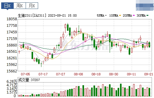 2023.09.22今日猪价
