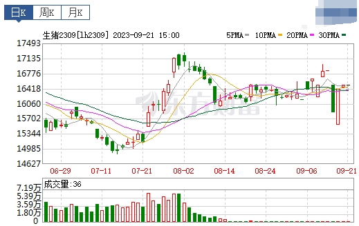 2023.09.22今日猪价