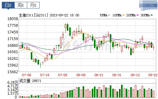 2023.09.23今日猪价
