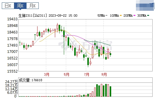 2023.09.24今日猪价