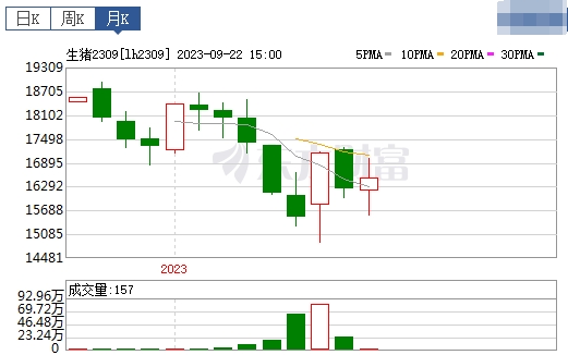 2023.09.24今日猪价