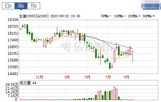 2023.09.24今日猪价