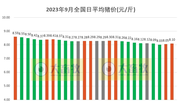 2023.09.26今日猪价