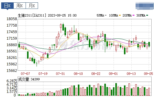 2023.09.26今日猪价