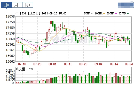 2023.09.27今日猪价