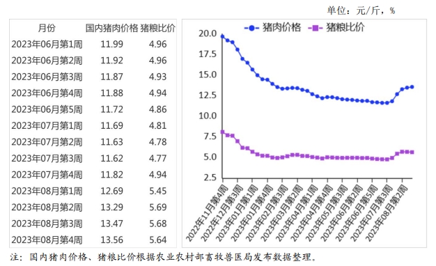 2023年8月国内和国际猪肉市场行情分析——猪肉价格明显反弹