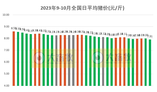 2023.10.03今日猪价