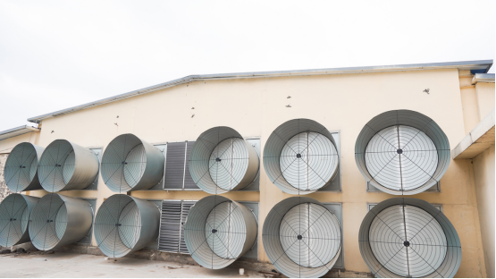 肉鸡立体养殖技术指导意见