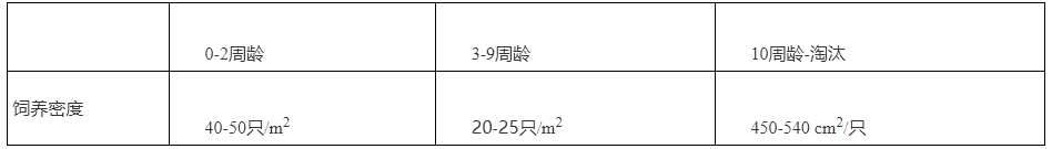 蛋鸡立体养殖技术指导意见