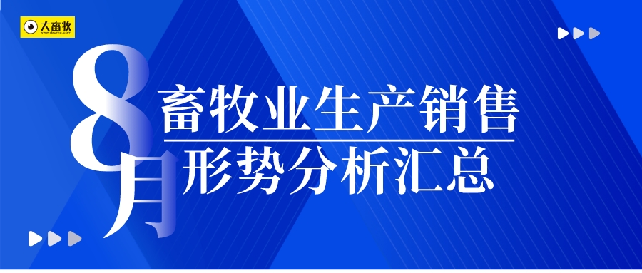 2024年8月畜牧业生产销售形势分析汇总