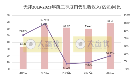 天邦食品：前三季度生猪销量约460万头，超往年全年销量
