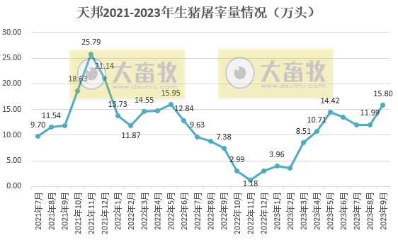 天邦食品：前三季度生猪销量约460万头，超往年全年销量