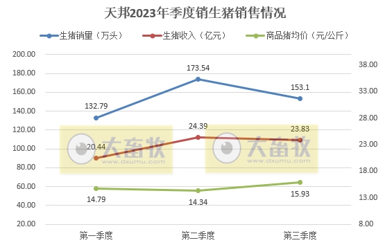 天邦食品：前三季度生猪销量约460万头，超往年全年销量