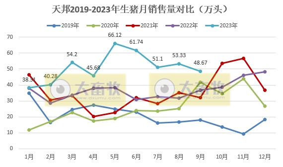 天邦食品：前三季度生猪销量约460万头，超往年全年销量