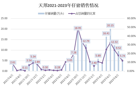 天邦食品：前三季度生猪销量约460万头，超往年全年销量