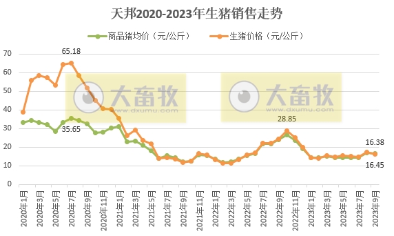 天邦食品：前三季度生猪销量约460万头，超往年全年销量