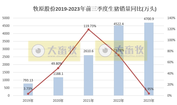 牧原股份：前三季度生猪销售4700万头收入超800亿元，能繁母猪存栏量300万头，9月生猪成本14.7元/公斤