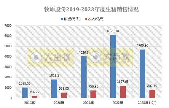 牧原股份：前三季度生猪销售4700万头收入超800亿元，能繁母猪存栏量300万头，9月生猪成本14.7元/公斤