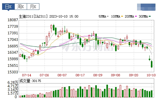 2023.10.11今日猪价