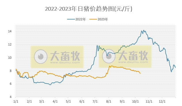 2023.10.12今日猪价