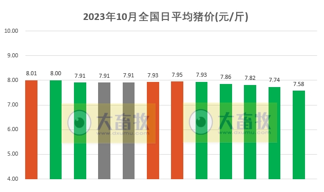 2023.10.12今日猪价