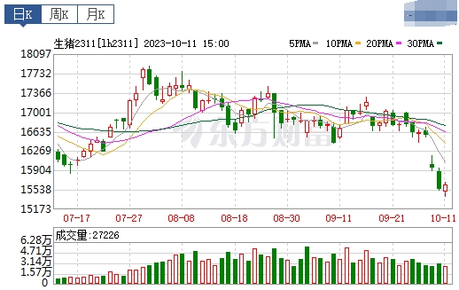 2023.10.12今日猪价