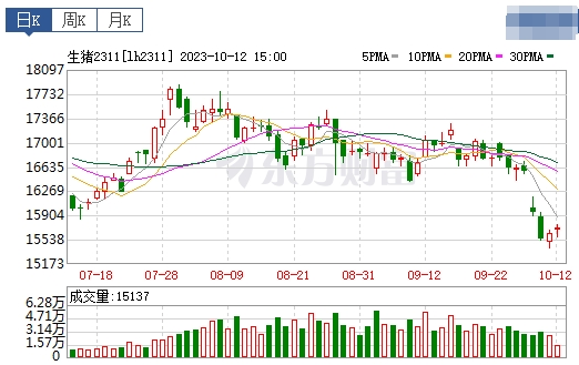 2023.10.13今日猪价