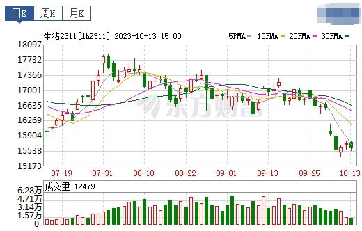 2023.10.14今日猪价