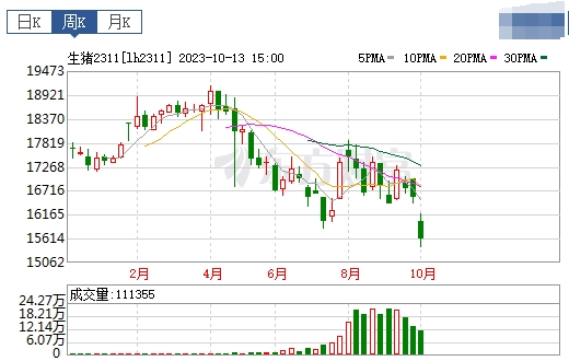 2023.10.15今日猪价