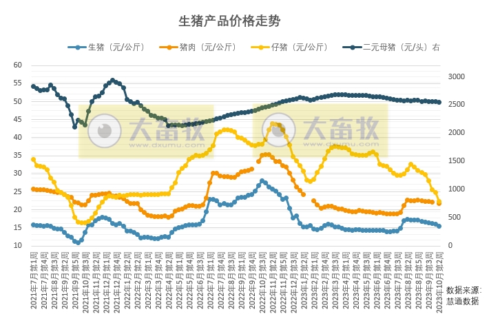仔猪价格继续探底,猪价为何再次走向低迷?今年还有机会盈利吗?