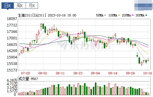 2023.10.17今日猪价