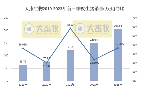 天康生物：前三季度生猪销量206万头增36.7%， 收入33亿元增28%，呈逐年增长状态