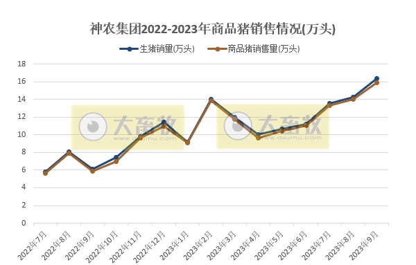 华统、京基、神农、立华和金新农2023年9月生猪销售情况