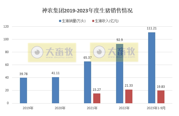 华统、京基、神农、立华和金新农2023年9月生猪销售情况