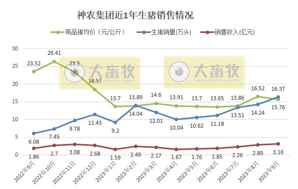 华统、京基、神农、立华和金新农2023年9月生猪销售情况
