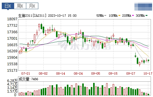 2023.10.18今日猪价