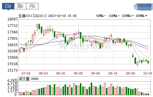 2023.10.19今日猪价