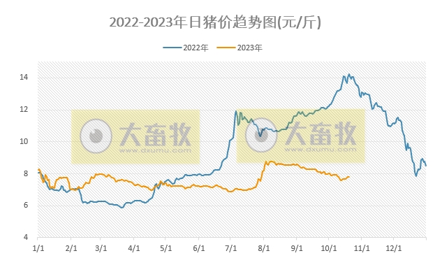 2023.10.20今日猪价