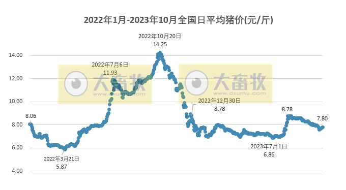 2023.10.20今日猪价