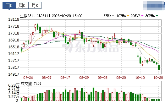 2023.10.21今日猪价