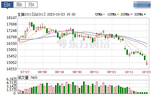 2023.10.24今日猪价