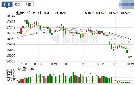 2023.10.25今日猪价